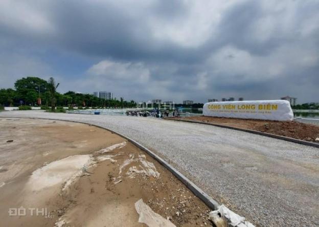 4284205 ảnh đại diện 1