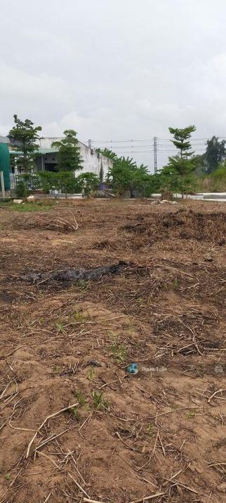4283154 ảnh đại diện 1