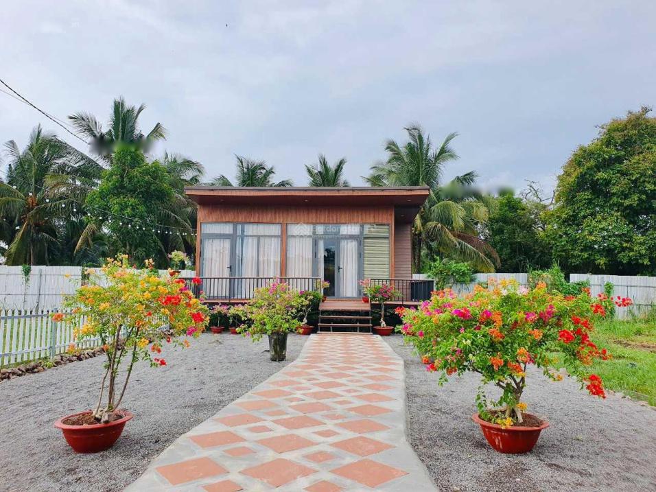 4282288 ảnh đại diện 1