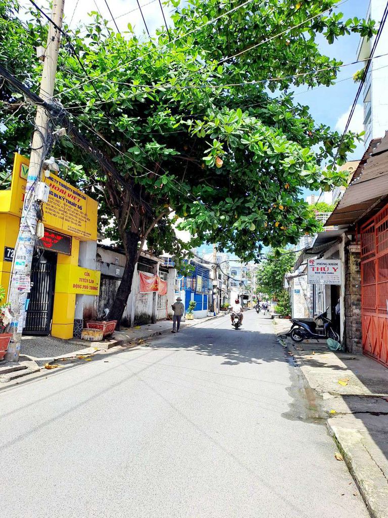 4283735 ảnh đại diện 2