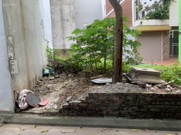 4284545 ảnh đại diện 2