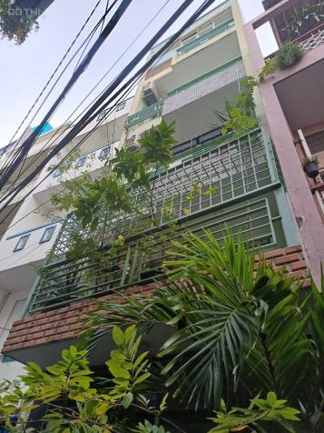 4282328 ảnh đại diện 2