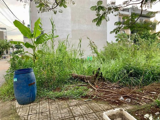 4281776 ảnh đại diện 1