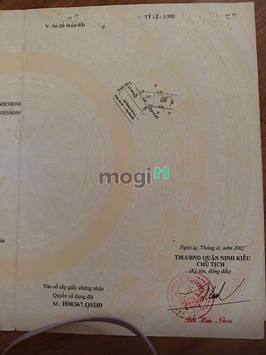 4284463 ảnh đại diện 1