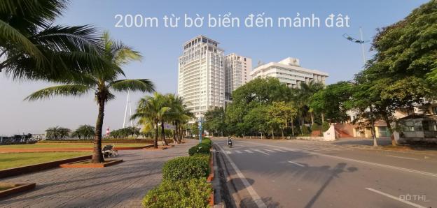 4282402 ảnh đại diện 1