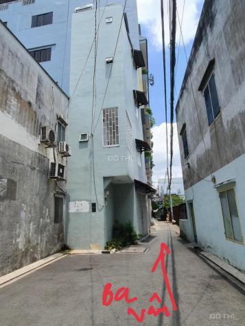 4282251 ảnh đại diện 2