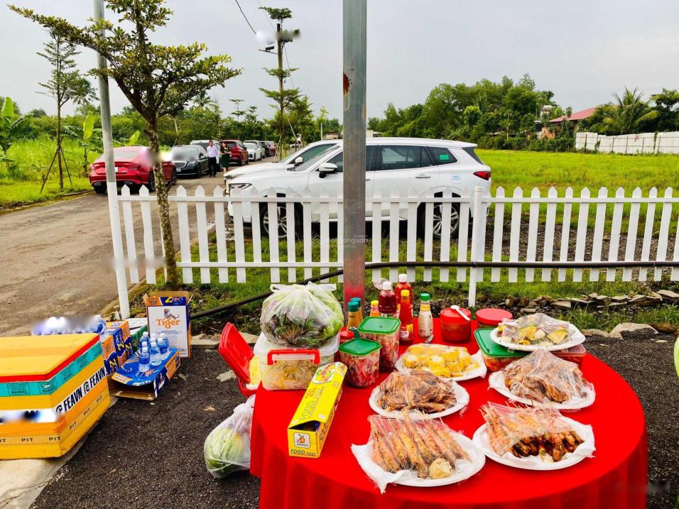 4282288 ảnh đại diện 1