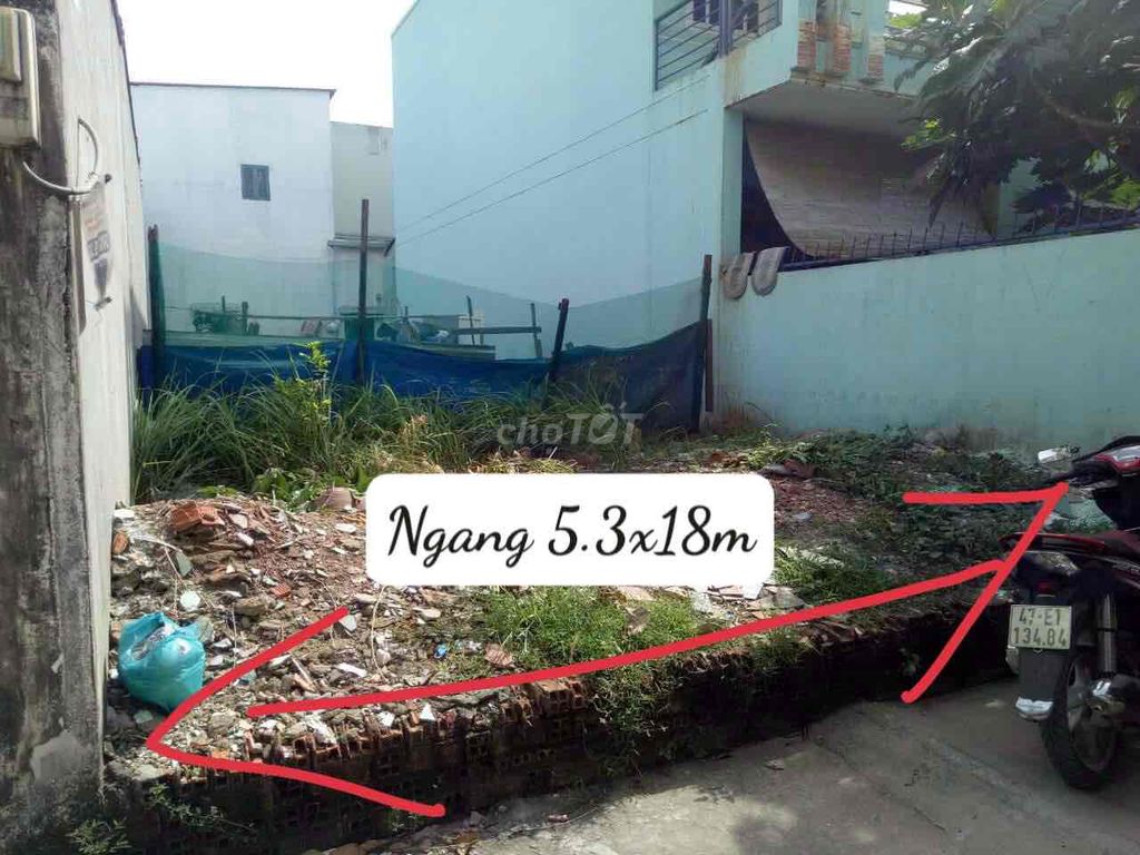 4282806 ảnh đại diện 1