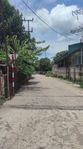 4282185 ảnh đại diện 1