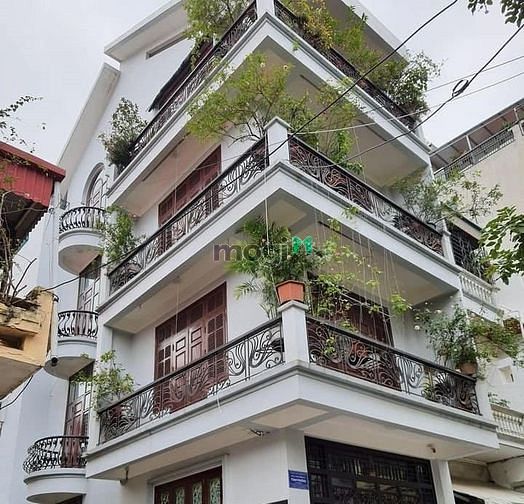 4282218 ảnh đại diện 1
