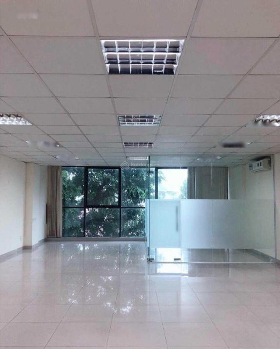 4284480 ảnh đại diện 1