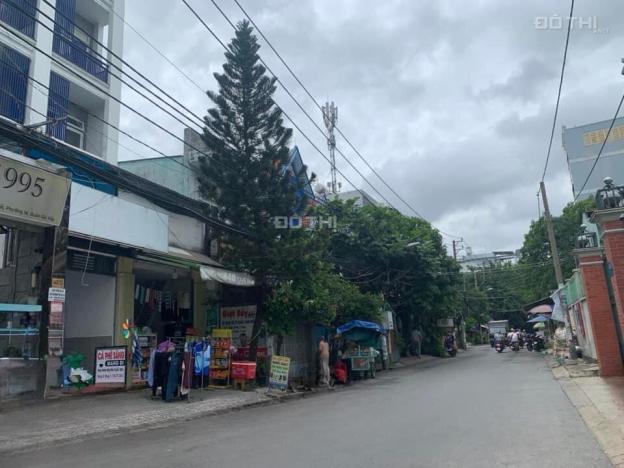 4284339 ảnh đại diện 2