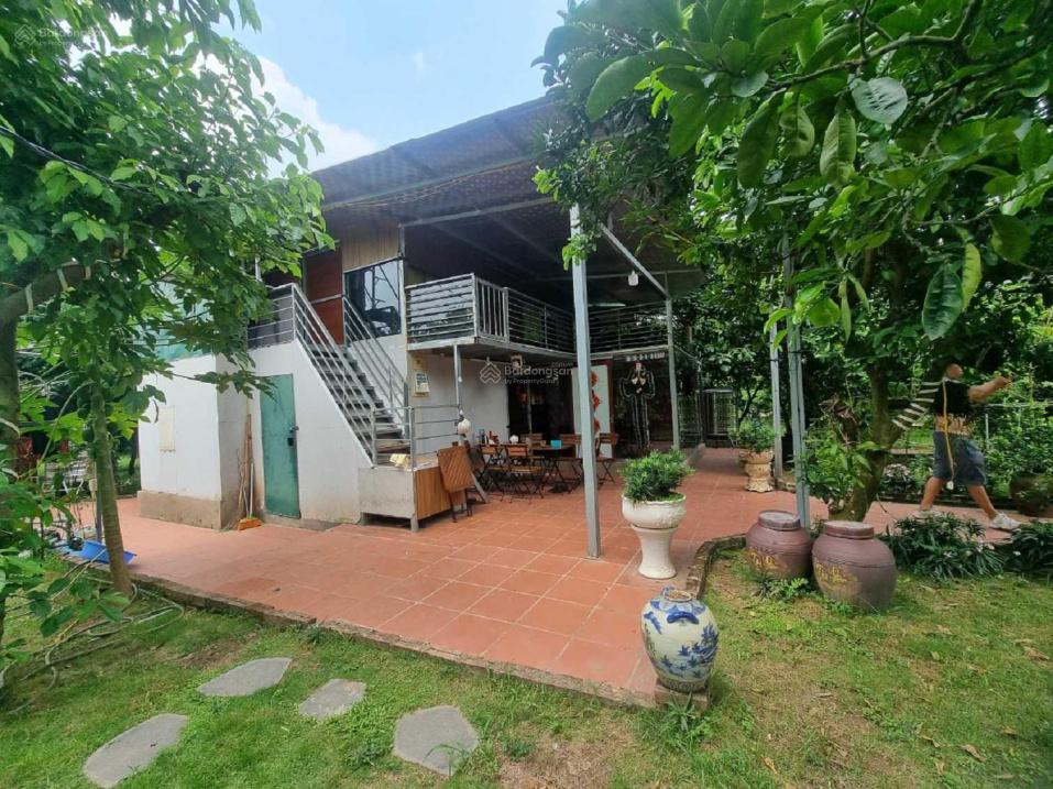 4283895 ảnh đại diện 1
