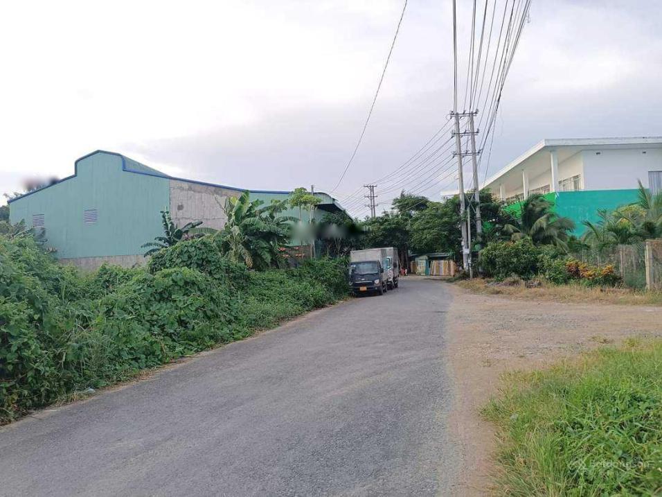 4283153 ảnh đại diện 2