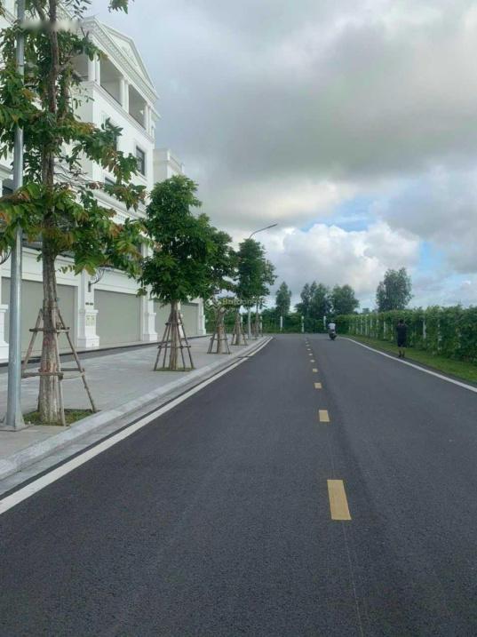 4282975 ảnh đại diện 1