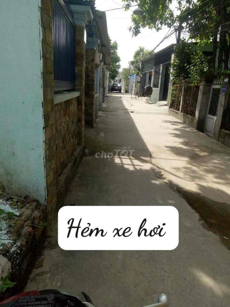 4282806 ảnh đại diện 2
