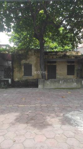 4282187 ảnh đại diện 1