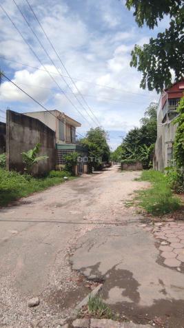 4282189 ảnh đại diện 1