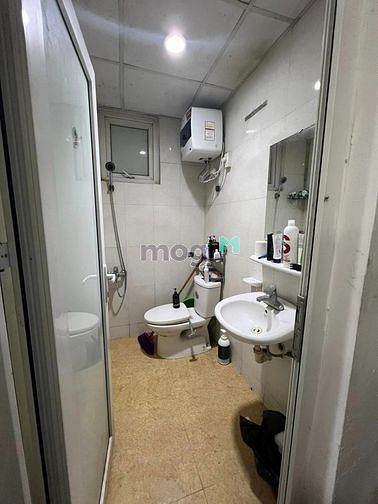 4281951 ảnh đại diện 2