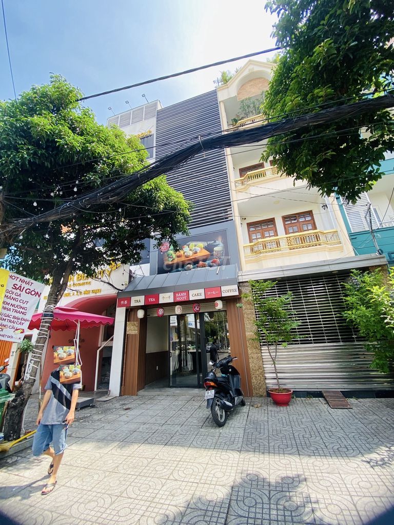 4282813 ảnh đại diện 1