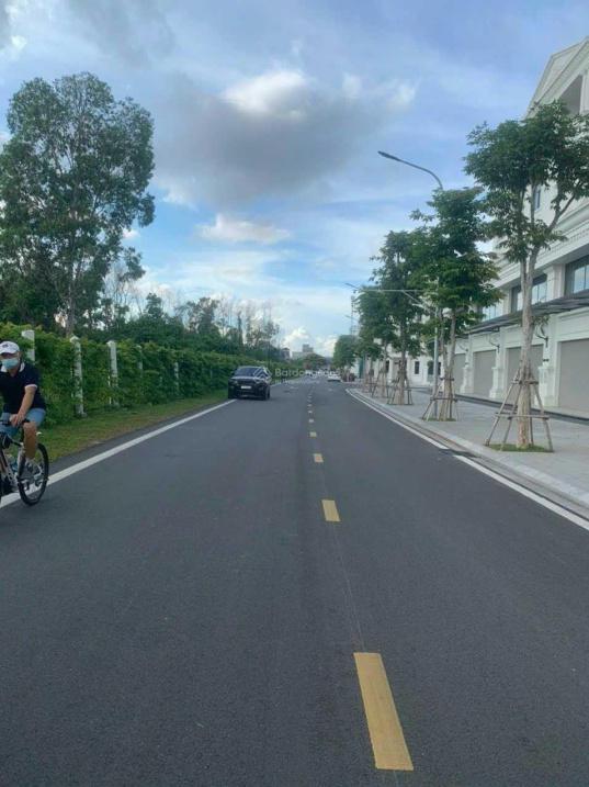 4282975 ảnh đại diện 2