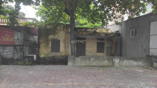 4282188 ảnh đại diện 1
