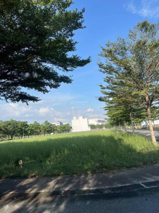 4282117 ảnh đại diện 1