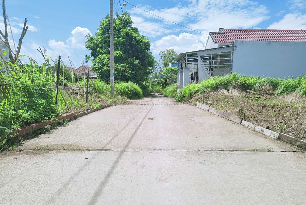 4282054 ảnh đại diện 1