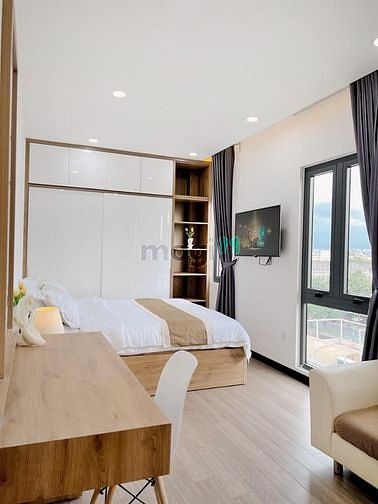 4284159 ảnh đại diện 1