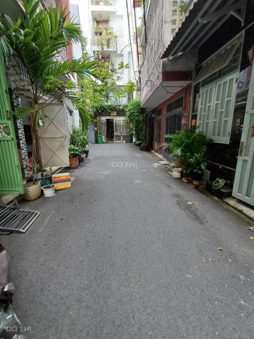 4282328 ảnh đại diện 1