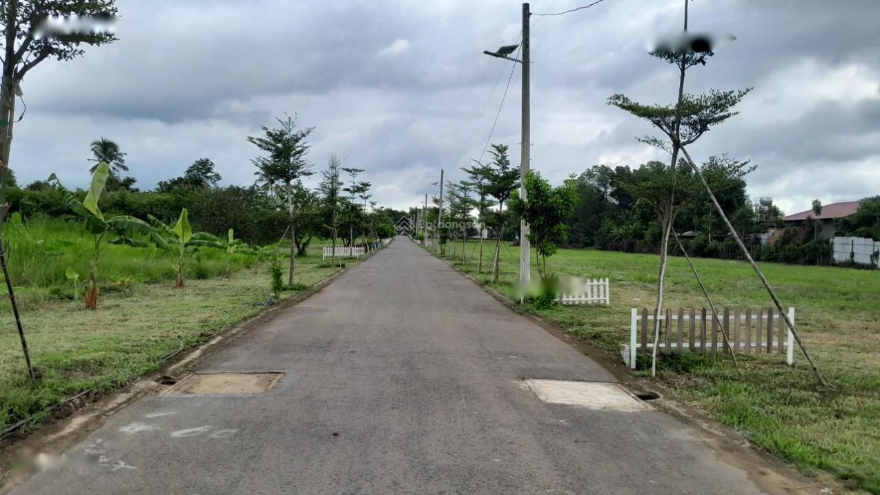 4282286 ảnh đại diện 1