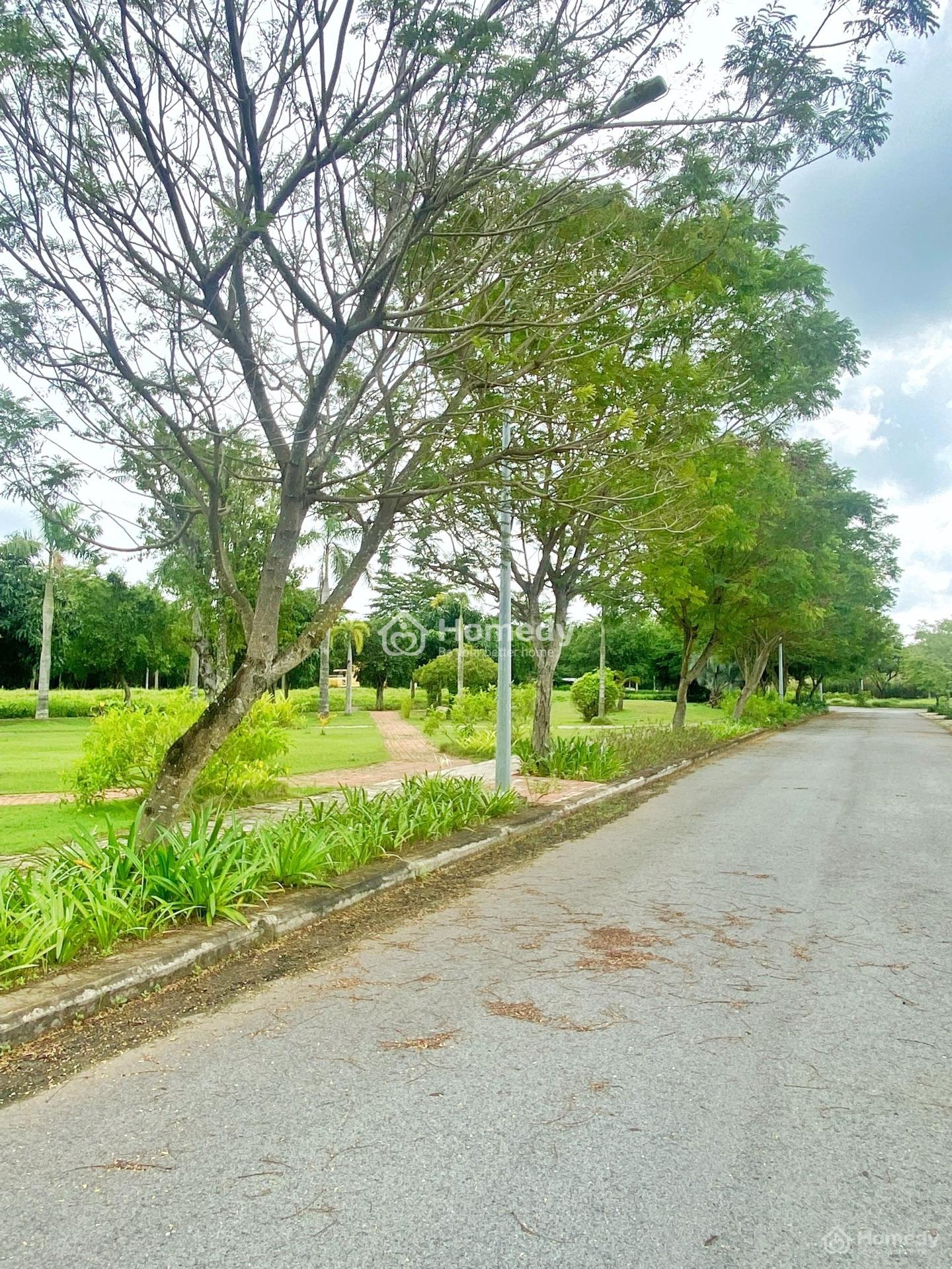 4282130 ảnh đại diện 1