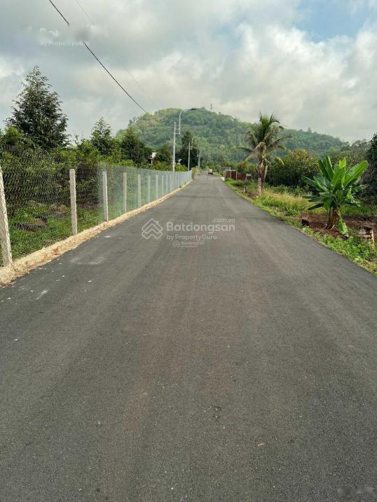 4282286 ảnh đại diện 2