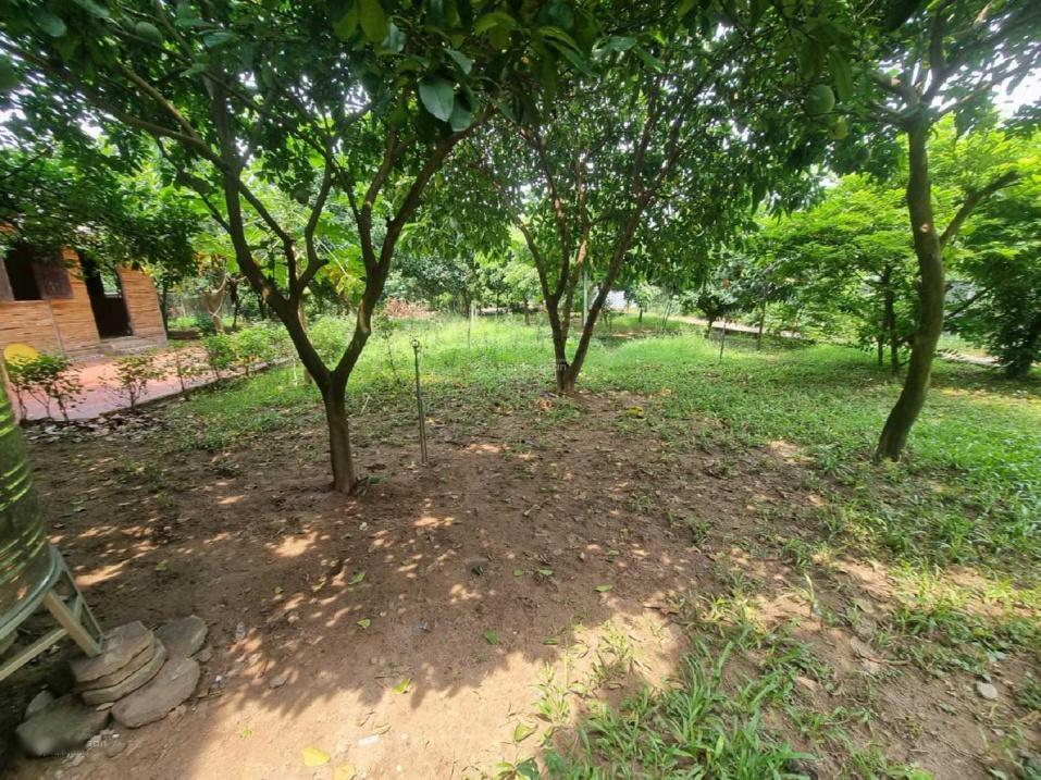 4283895 ảnh đại diện 2