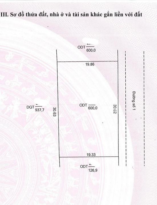 4283153 ảnh đại diện 1