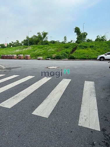 4283671 ảnh đại diện 1