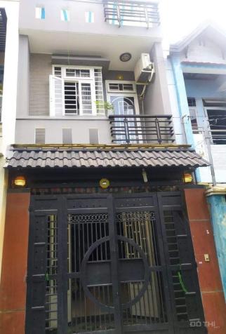 4284379 ảnh đại diện 1