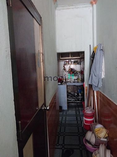 4282163 ảnh đại diện 1