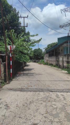 4282191 ảnh đại diện 1