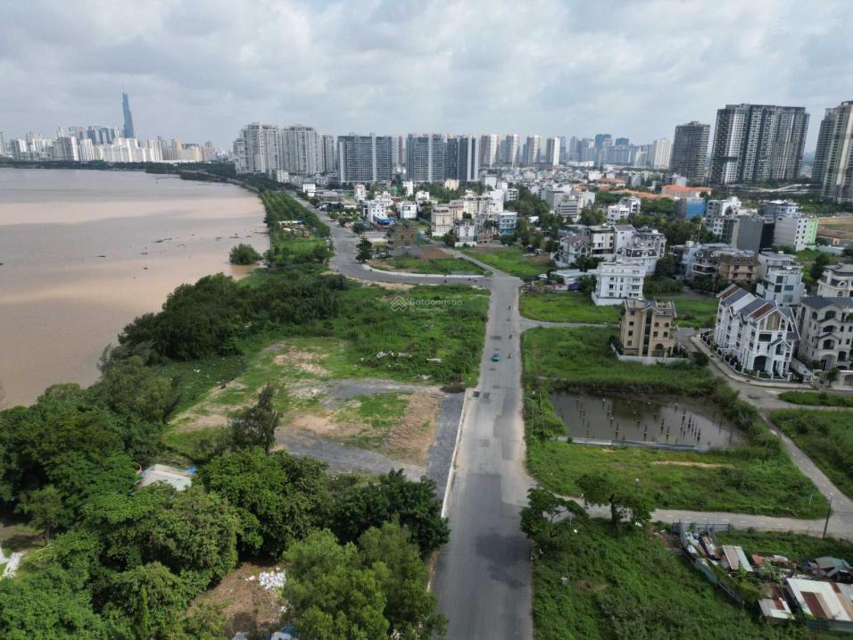 4281806 ảnh đại diện 2