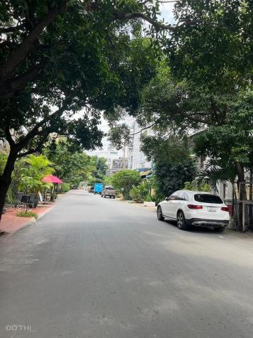 4284316 ảnh đại diện 2