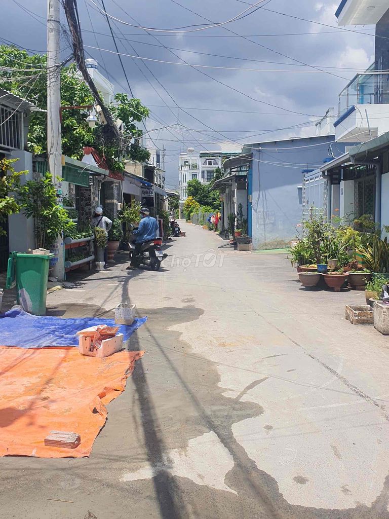 4284492 ảnh đại diện 2