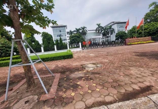 4284205 ảnh đại diện 2