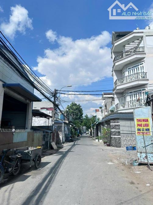 4282603 ảnh đại diện 1
