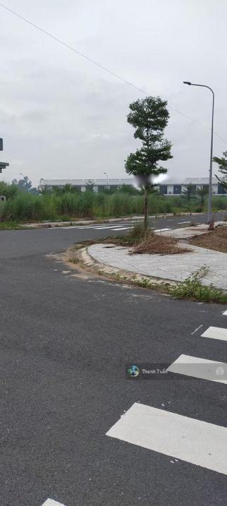 4283154 ảnh đại diện 2
