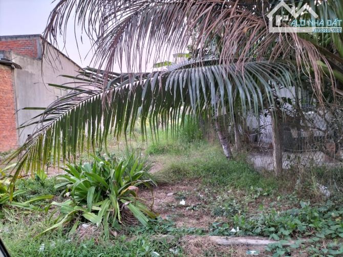 4286172 ảnh đại diện 1