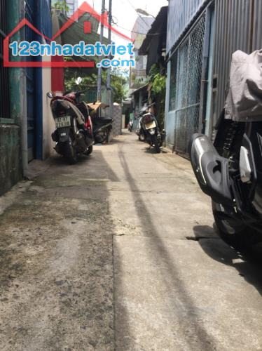 4284667 ảnh đại diện 1
