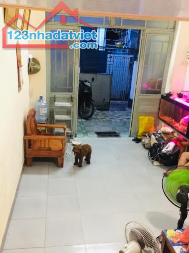 4284667 ảnh đại diện 2
