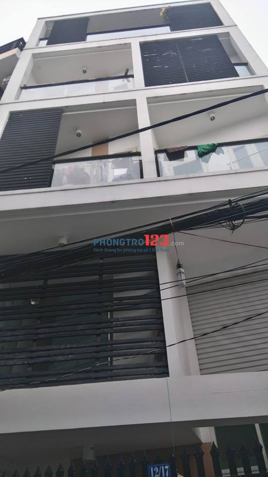 4286121 ảnh đại diện 1