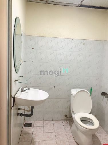 4287352 ảnh đại diện 2